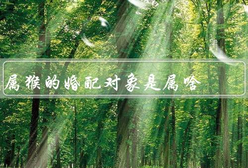 属猴的最佳婚配对象是属啥，性格相互补充／共同价值观／相互信任