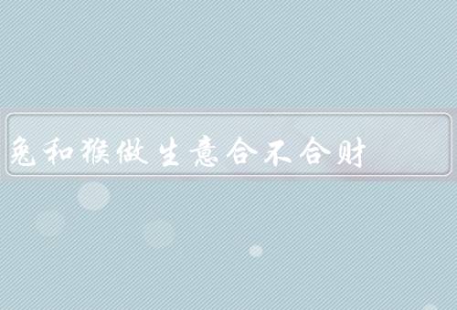兔和猴做生意合不合财，经济能力／效益／挑战