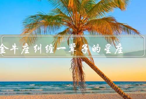 金牛座纠缠一辈子的星座（感情的坚持／固执／稳定的追求）
