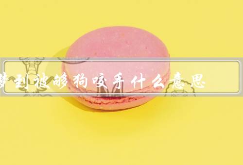 梦到被够狗咬手什么意思（梦境解析、自信心与控制力、人际关系）