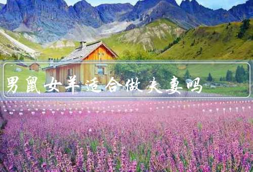男鼠女羊适合做夫妻吗，性格特点／相互补足／沟通和信任