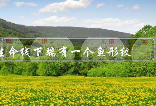 生命线下端有一个鱼形纹（含义／特点／影响）