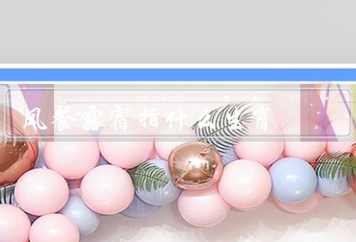 风餐露宿指什么生肖，鼠、猪、狗