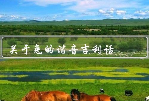关于兔的谐音吉利话
