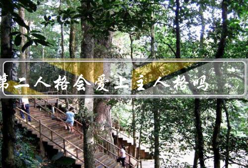 第二人格会爱上主人格吗，存在／感情／与主人格关系