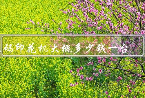 数码印花机大概多少钱一台，范围／影响因素／性价比