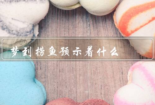 梦到捞鱼预示着什么，追求机会和成功／自我价值和能力的认可