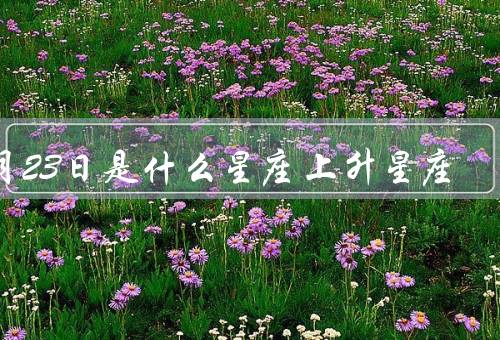 5月23日是什么星座上升星座（特点／爱情观／事业发展）