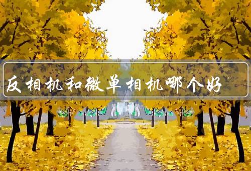 单反相机和微单相机哪个好，外形与便携性／取景器与对焦