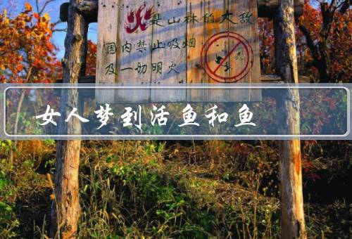 女人梦到活鱼和死鱼，活鱼的寓意、鱼的寓意