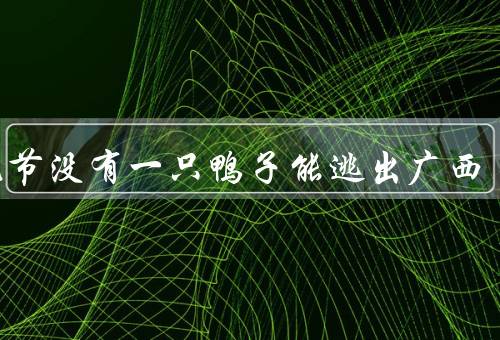 中元节没有一只鸭子能逃出广西，中元节的由来