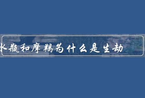 水瓶和摩羯为什么是生死劫，个性特点／价值观／生活方式
