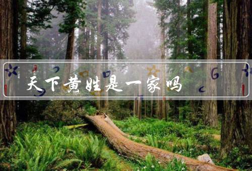 天下黄姓是一家吗，起源、分布、历史发展