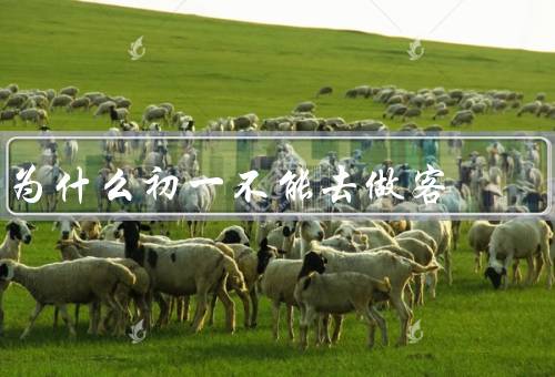 为什么初一不能去做客（需要休息／适应新环境／学习的压力）