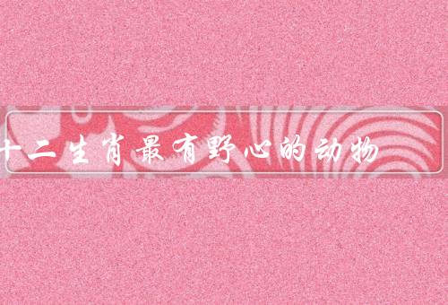 十二生肖最有野心的动物