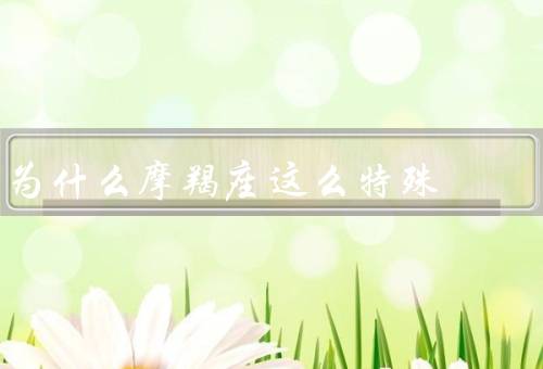 为什么摩羯座这么特殊（坚韧不拔、责任感、理性思维）