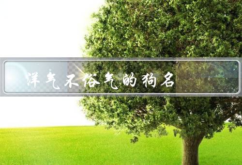 洋气不俗气的狗名（星空／悠然／贝尔）