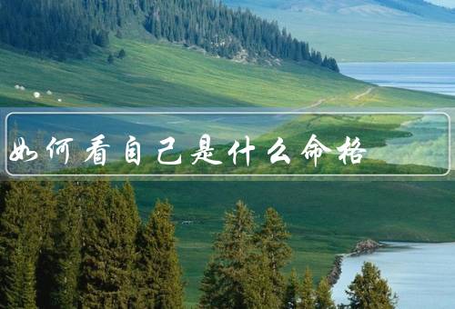 如何看自己是什么命格，命盘、天干地支、五行缺失与补充