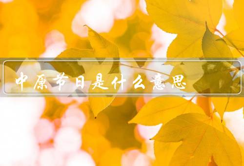 中原节日是什么意思，起源／传统习俗／意义