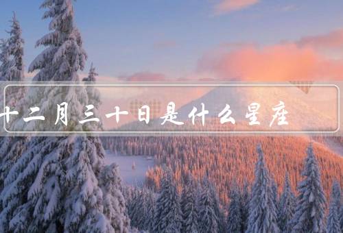 十二月三十日是什么星座（特点／爱情观／事业发展）