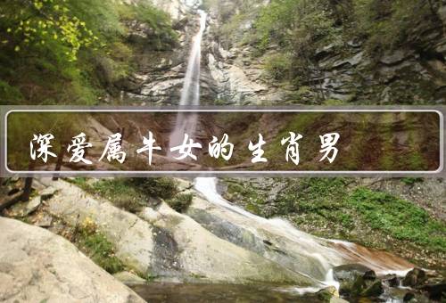 深爱属牛女的生肖男，理解她的敏感／给予她足够的安全感