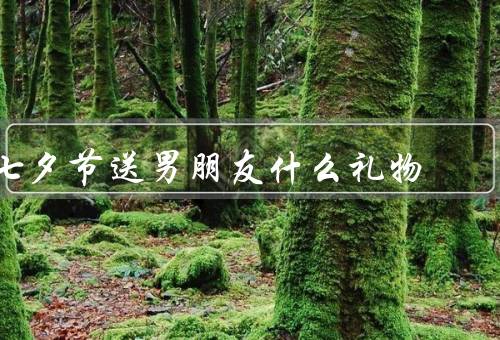 七夕节送男朋友什么礼物，自制礼物／个性化定制／实用实用品