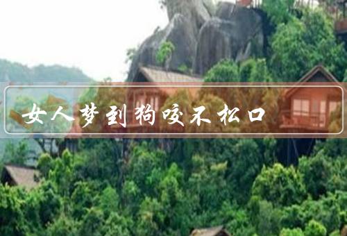 女人梦到狗咬不松口（梦境的意义／可能的原因／应对方法）