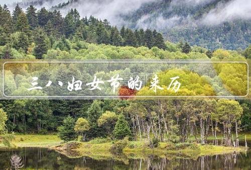 三八妇女节的来历，历史渊源／妇女权益的倡导／国际影响力