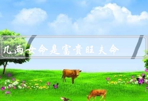 几两女命是富贵旺夫命（命理特点／事业发展／家庭幸福）
