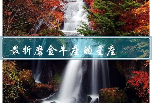 最折磨金牛座的星座，物质的执着／情感的固执／事业的坚持