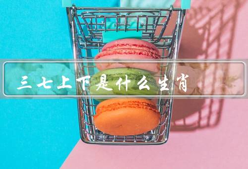 三七上下是什么生肖，特点、优点、缺点