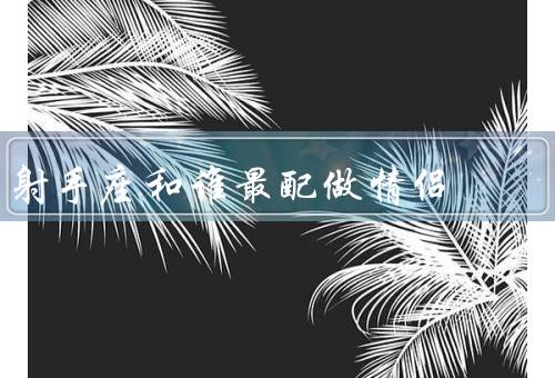 射手座和谁最配做情侣