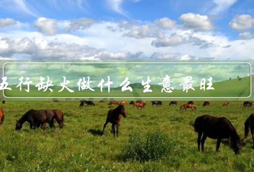 五行缺火做什么生意最旺（美容美发行业、餐饮行业、销售行业）