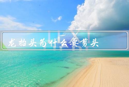 龙抬头为什么要剪头，历史传承、文化象征、实用考虑