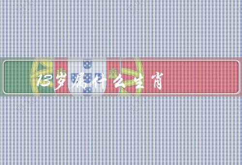 13岁属什么生肖（13岁属什么生肖、特点、运势）