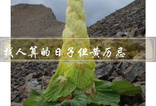 找人算的日子但黄历忌搬家，原因、注意事项