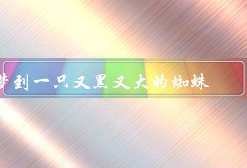 梦到一只又黑又大的蜘蛛（蜘蛛的出现／恐惧与挣扎／解梦与启示）