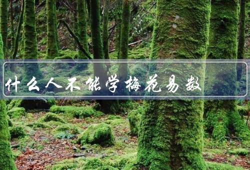 什么人不能学梅花易数（耐心的人／直觉的人／对自然规律的敏感的人）