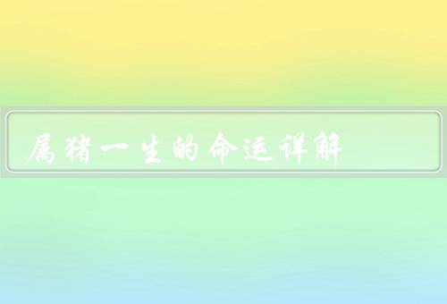 属猪一生的命运详解，财运／事业运／爱情运