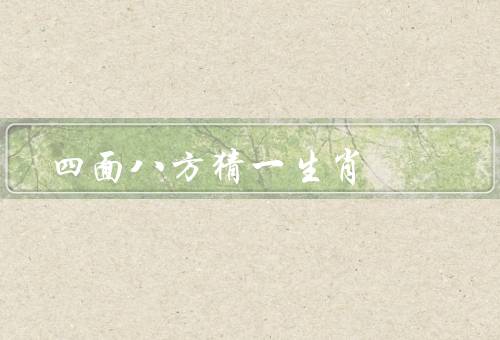 四面八方猜一生肖（猜一生肖／观察力和推理能力的考验）