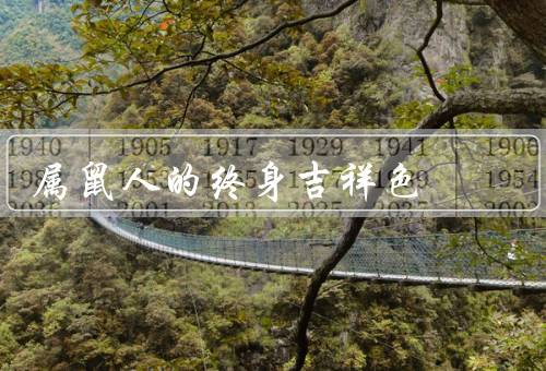 属鼠人的终身吉祥色，祥瑞和喜庆、活力和热情、繁荣和富贵