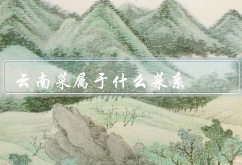 云南菜属于什么菜系，特点／菜系归属／结语
