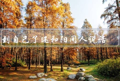 梦到自己死了还和阳间人说话（梦中的死亡、与阳间人的对话）