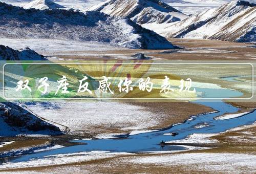 双子座反感你的表现，爱占宜、不尊重别人的时间、过于沉闷和严肃