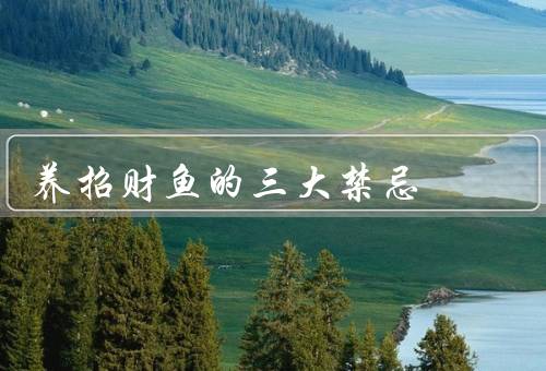 养招财鱼的三大禁忌（过度喂食、水质不合适、环境干扰）