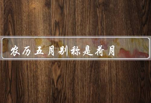 农历五月别称是荷月（荷花美丽、意义、文化）