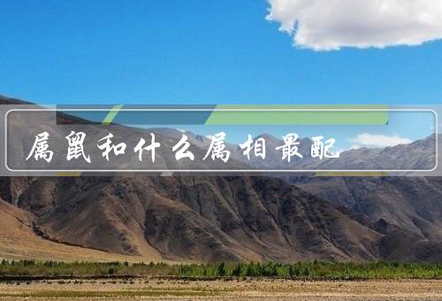 属鼠和什么属相最配（牛最配／龙最配／猴最配）