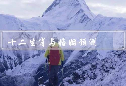 十二生肖与婚姻预测（特质、相生相克、运势）