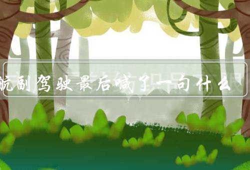 东航副驾驶最后喊了一句什么，紧急情况／副驾驶员的背景