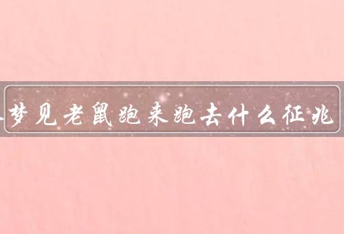 女人梦见老鼠跑来跑去什么征兆，潜意识的象征／生活中的困扰